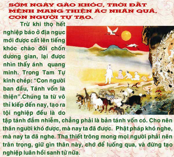 Dia-nguc-thap-vuong-vo-luong-cong-duc.com-dn82