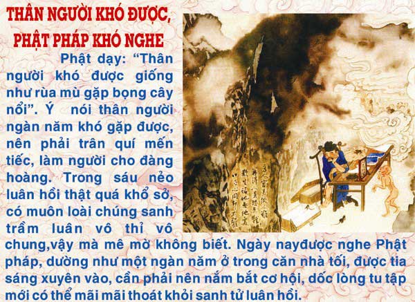 Dia-nguc-thap-vuong-vo-luong-cong-duc.com-dn84