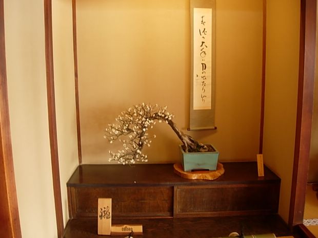Nghệ Thuật Bonsai Nhật Bản: Sắc Xuân – Tuyệt Đẹp Sx103
