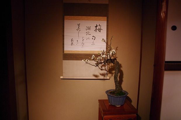 Nghệ Thuật Bonsai Nhật Bản: Sắc Xuân – Tuyệt Đẹp Sx130