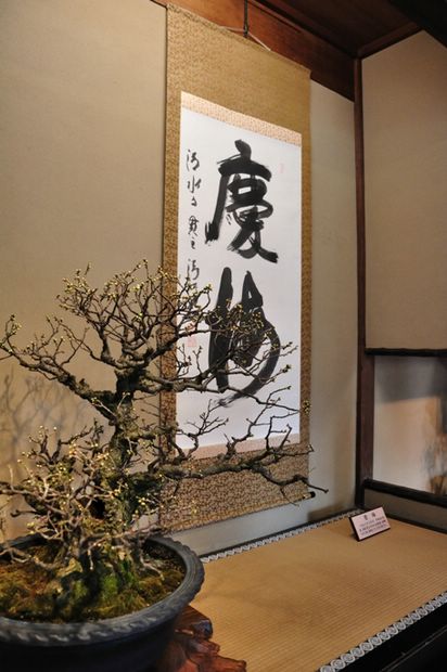 Nghệ Thuật Bonsai Nhật Bản: Sắc Xuân – Tuyệt Đẹp Sx136