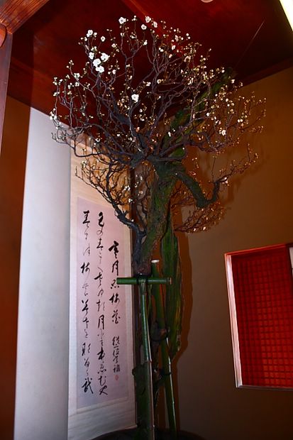 Nghệ Thuật Bonsai Nhật Bản: Sắc Xuân – Tuyệt Đẹp Sx19
