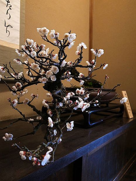 Nghệ Thuật Bonsai Nhật Bản: Sắc Xuân – Tuyệt Đẹp Sx35