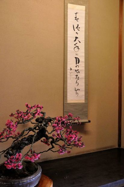 Nghệ Thuật Bonsai Nhật Bản: Sắc Xuân – Tuyệt Đẹp Sx39
