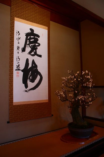 Nghệ Thuật Bonsai Nhật Bản: Sắc Xuân – Tuyệt Đẹp Sx4