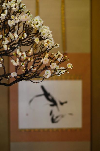 Nghệ Thuật Bonsai Nhật Bản: Sắc Xuân – Tuyệt Đẹp Sx46