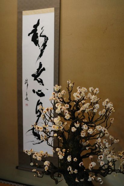 Nghệ Thuật Bonsai Nhật Bản: Sắc Xuân – Tuyệt Đẹp Sx47