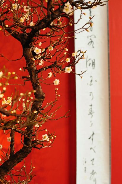 Nghệ Thuật Bonsai Nhật Bản: Sắc Xuân – Tuyệt Đẹp Sx51