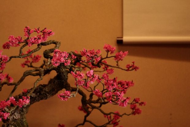 Nghệ Thuật Bonsai Nhật Bản: Sắc Xuân – Tuyệt Đẹp Sx7