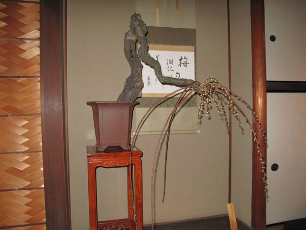 Nghệ Thuật Bonsai Nhật Bản: Sắc Xuân – Tuyệt Đẹp Sx89
