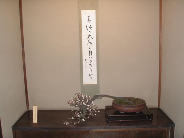 Nghệ Thuật Bonsai Nhật Bản: Sắc Xuân – Tuyệt Đẹp Sx98